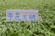 开云电子-第8轮中超未扣分纯净版！可能才是申花球迷最想要积分榜